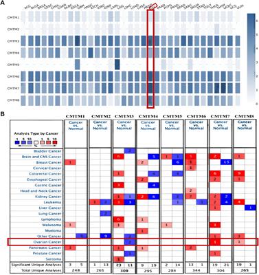 Identification of prognostic biomarkers in the CMTM family genes of human ovarian cancer through bioinformatics analysis and experimental verification